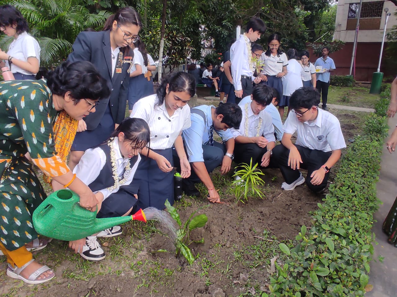 Plantation drive at Minto Park maintained and beautified by Belle Vue Clinic.