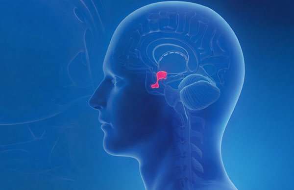 Pituitary Tumours: Symptoms, Causes, Diagnosis, and Treatment Options