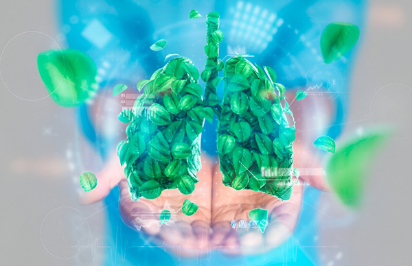 Every Breath Counts: Honoring Lung Health This World Lung Day