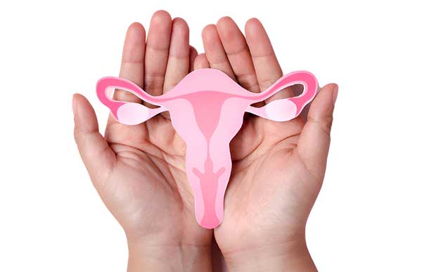 Elimination Is Within Reach If We Act Now, Together “World Cervical Cancer Elimination Day 2025”