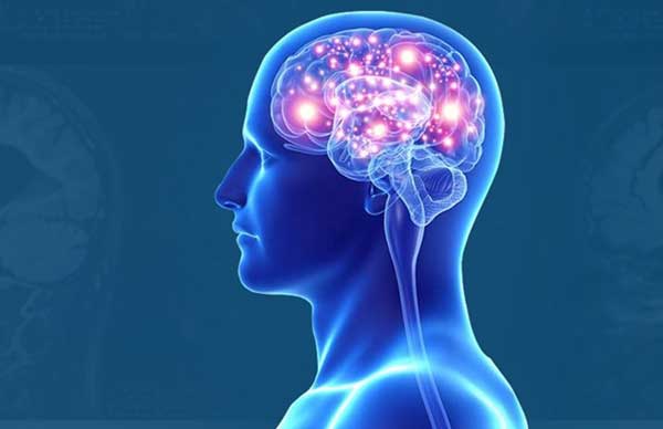 Protect Your Brain: The Complete Guide to Neurological Diseases & Prevention