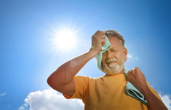 Surviving the Heat Wave: A Complete Guide to Staying Safe, Cool, and Healthy