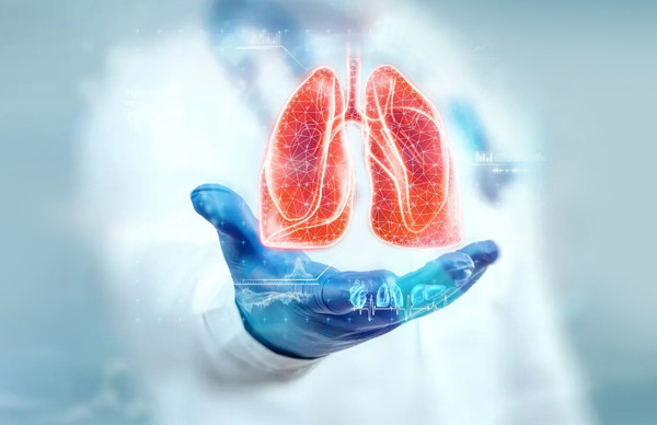 Everything You Need to Know About Lung Health: Symptoms, diseases and Prevention