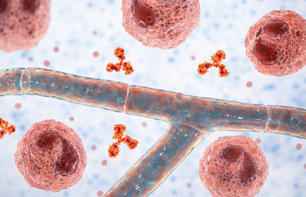 Rare Blood Disorders: Types, Symptoms, Diagnosis & Treatment