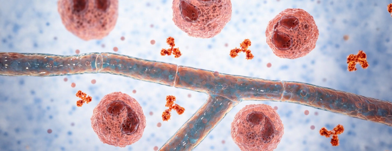 Rare Blood Disorders: Types, Symptoms, Diagnosis & Treatment