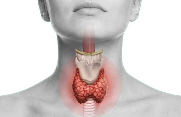 Thyroid Disorders in Women: Symptoms Every Women Shouldn’t Ignore
