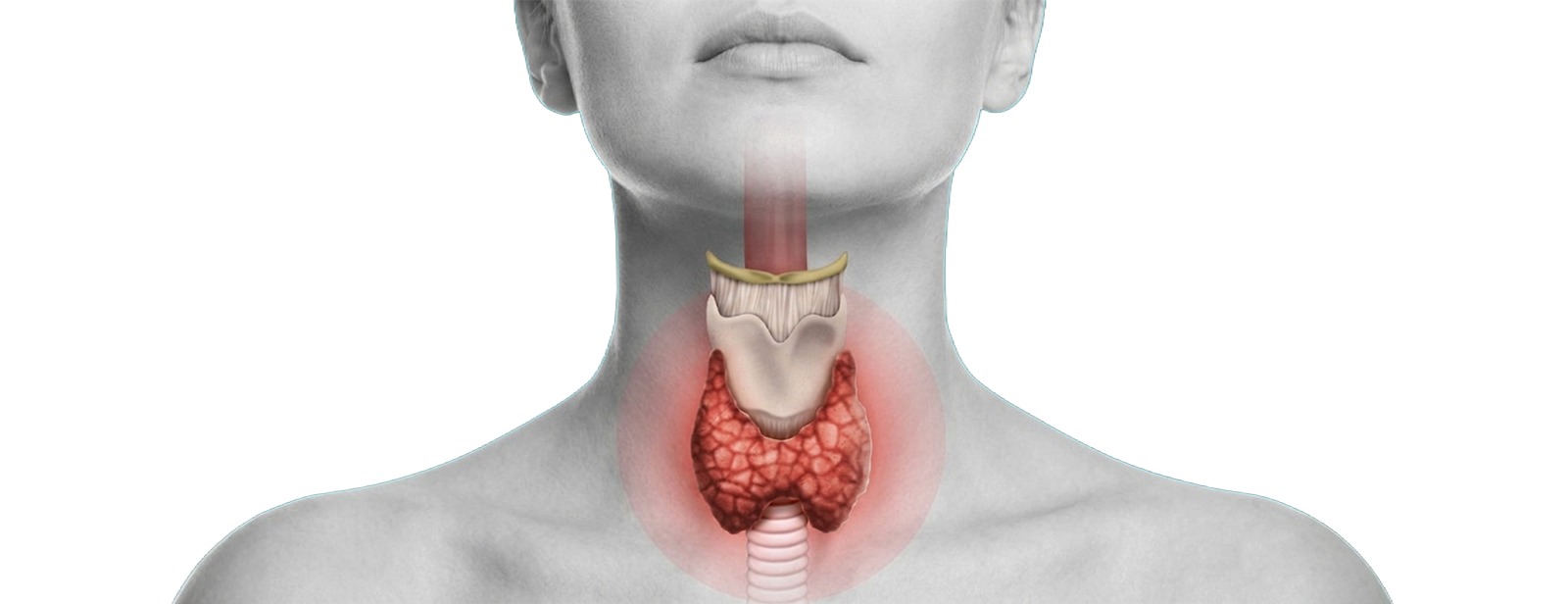 Thyroid Disorders in Women: Symptoms Every Women Shouldn’t Ignore