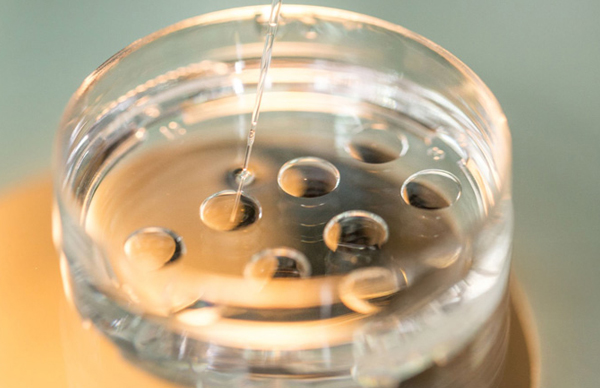 Role of Embryologists in Fertility Treatment