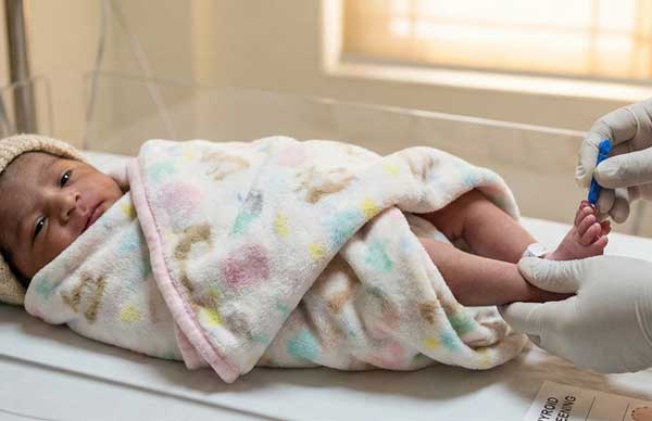 Neonatal Thyroid Screening